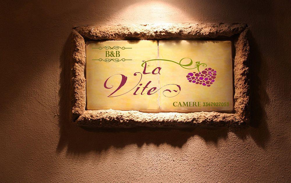 B&B Camere La Vite Pienza Exterior foto